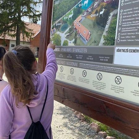 El Gusto Homes Town Šoproň Exteriér fotografie
