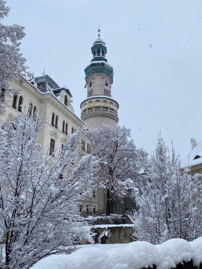 El Gusto Homes Town Šoproň Exteriér fotografie