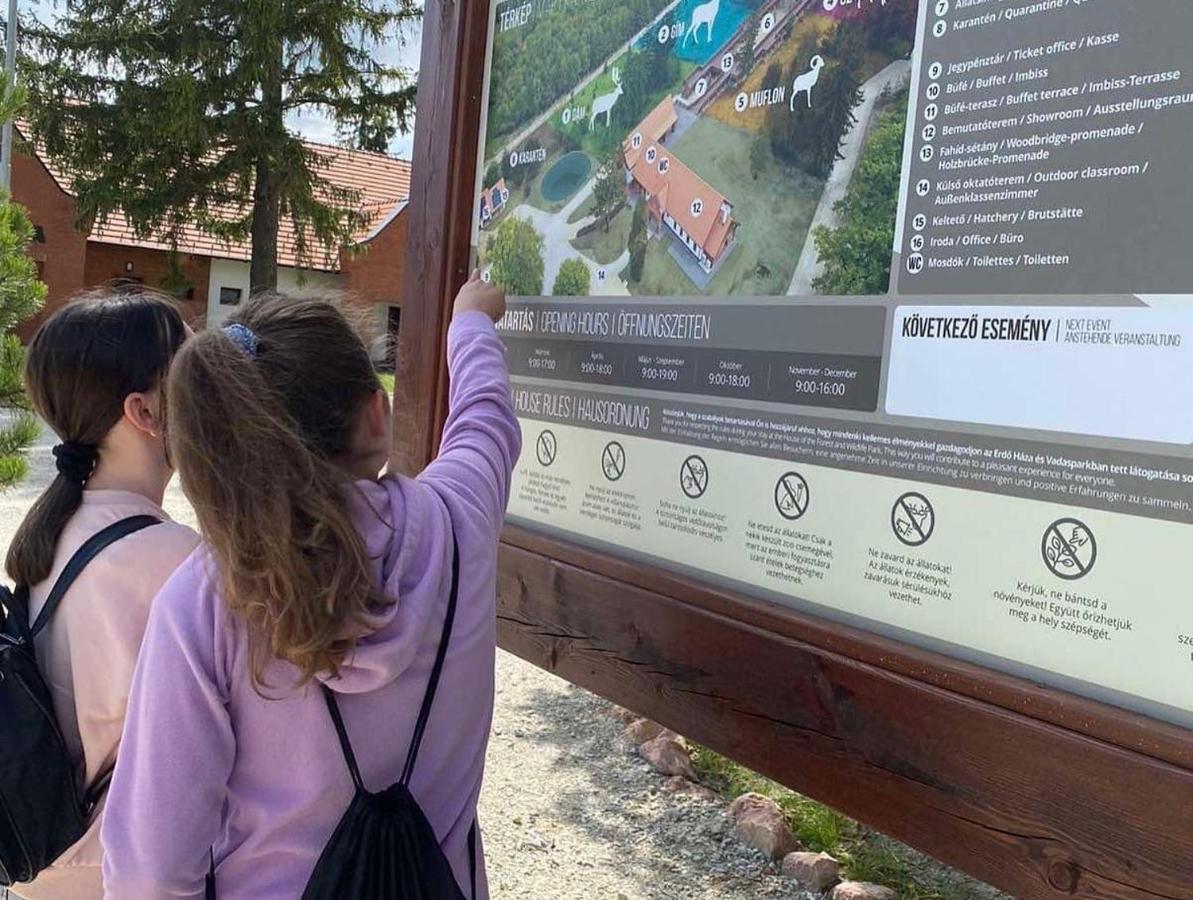 El Gusto Homes Town Šoproň Exteriér fotografie